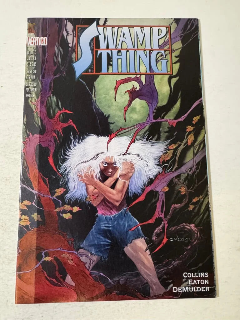 SWAMP THING #132 Vol 2 Charles Vess Cover