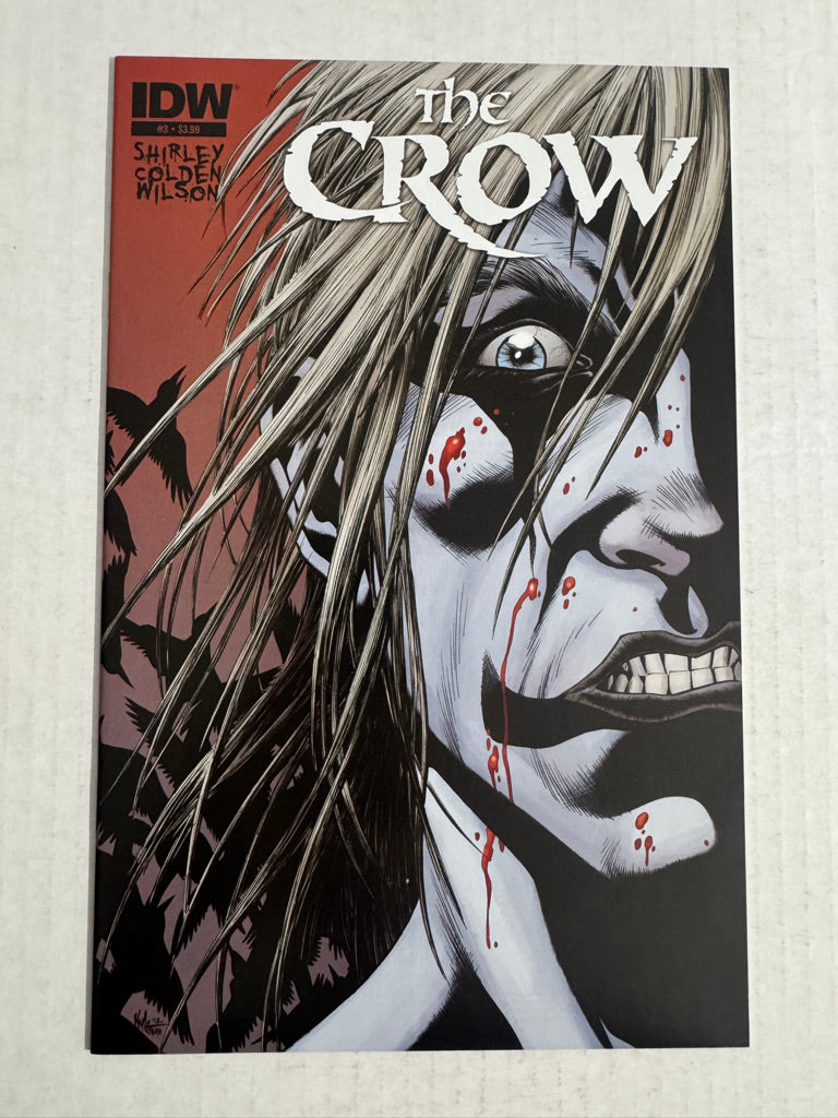 THE CROW DEATH AND REBIRTH #3 NM- Kyle Hotz Cover