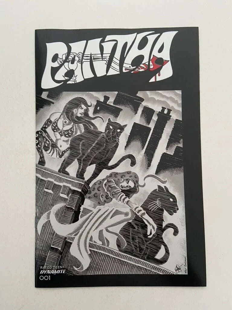 PANTHA #1 NM 1:11 B/W TMNT Homage Variant