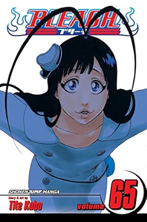 Bleach Vol 65