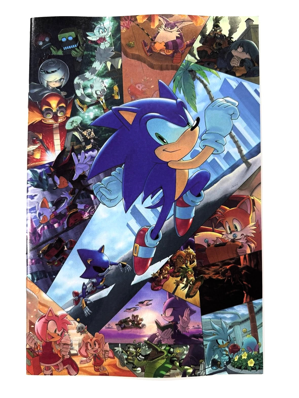 SONIC THE HEDGEHOG #91 NM 1:25 Aaron Hammerstrom Virgin Variant