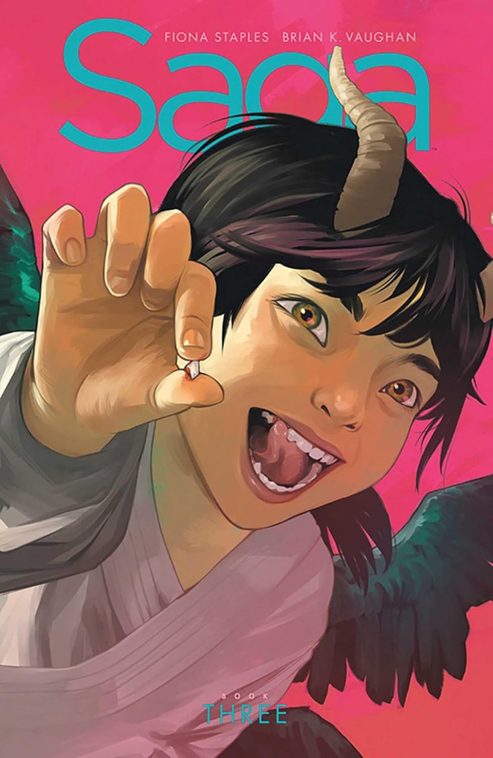 Saga HC Book 3