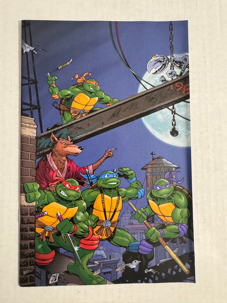 TEENAGE MUTANT NINJA TURTLES SATURDAY MORNING ADVENTURES #1 VF 1:25 Virgin Variant