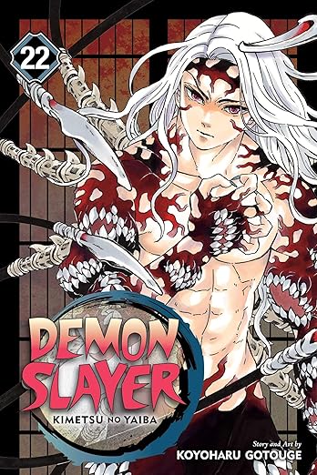 Demon Slayer (Kimetsu no Yaiba) Vol 22