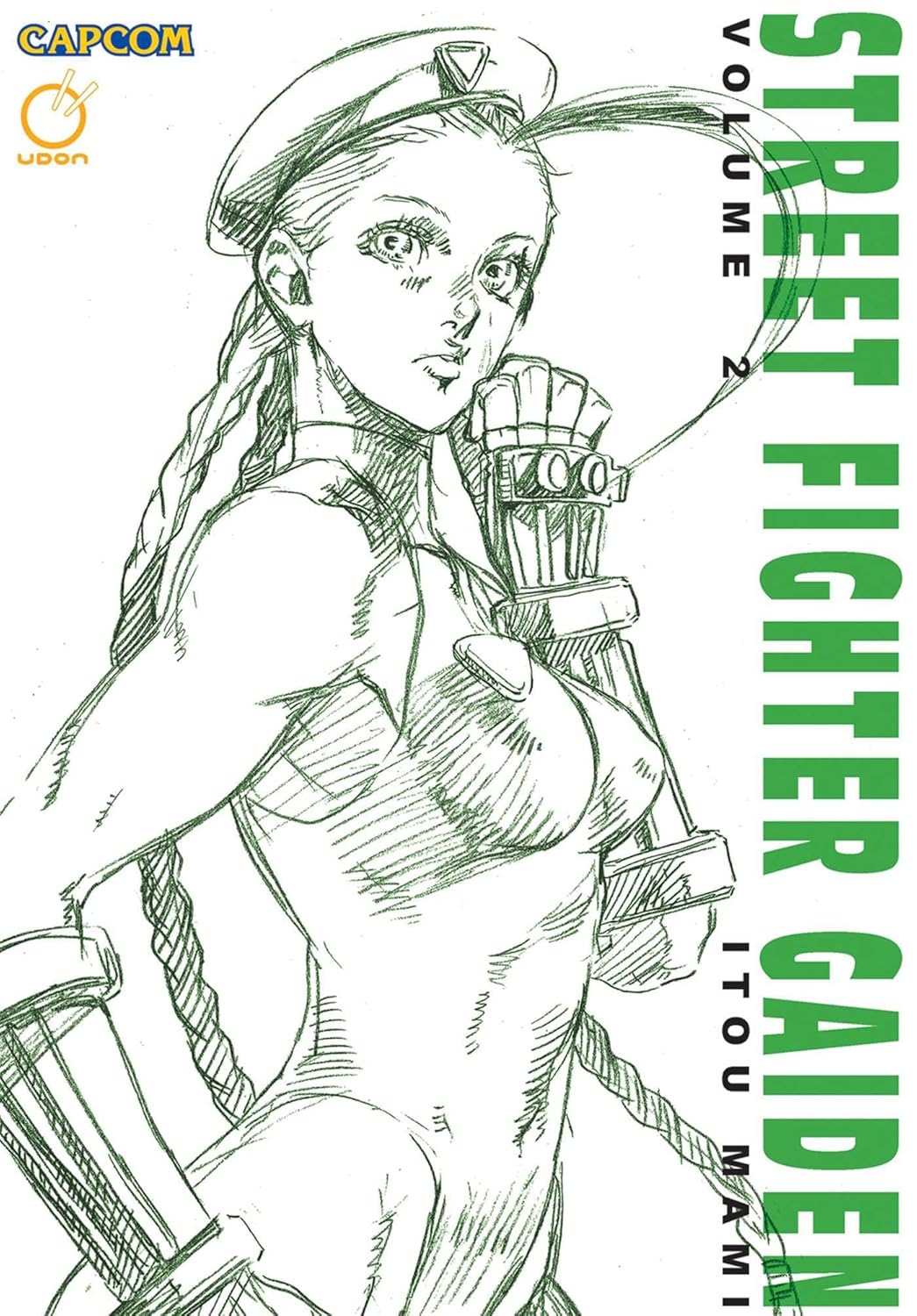 Street Fighter GAIDEN Vol 2