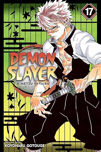 Demon Slayer (Kimetsu no Yaiba) Vol 17
