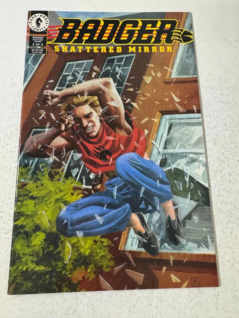 BADGER Shattered Mirror #2 VF (Dark Horse)