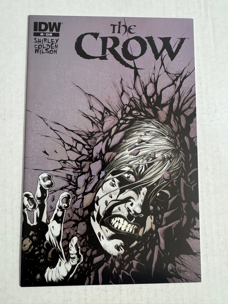 THE CROW DEATH AND REBIRTH #5 VF- Kyle Hotz Cover