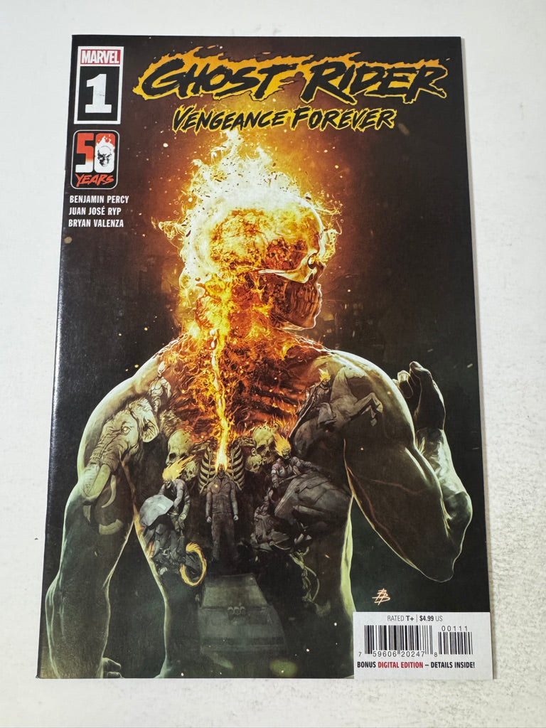 GHOST RIDER Vengeance Forever #1 NM Bjorn Barends Cover