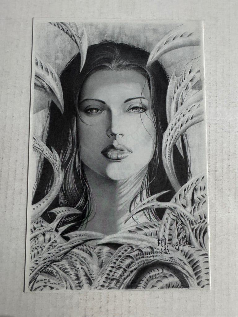 WITCHBLADE #40 PREVIEW NM Pittsburgh Convention Exclusive LTD 5000