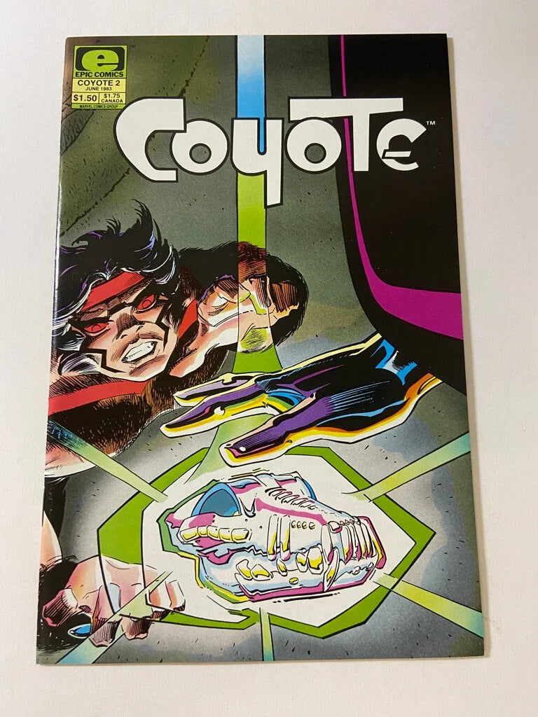 COYOTE #2 NM