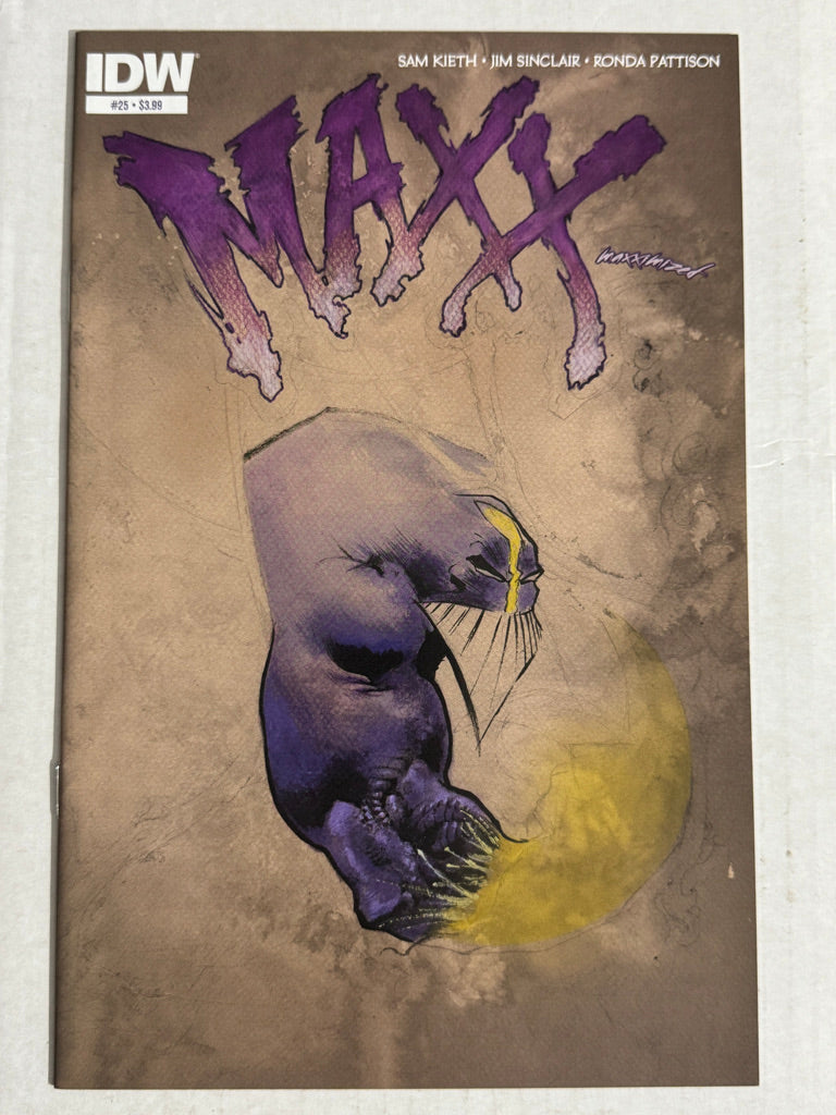 THE MAXX MAXXIMIZED #25 NM Sam Kieth Cover