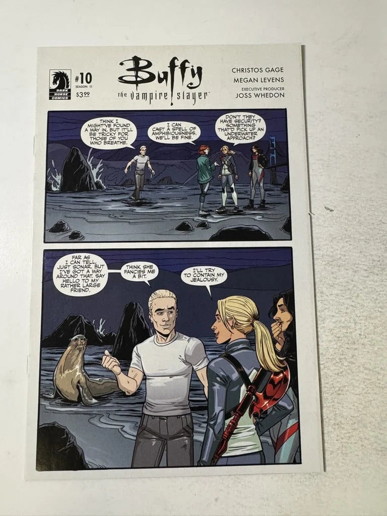 BUFFY THE VAMPIRE SLAYER Season 11 #10 NM B Variant