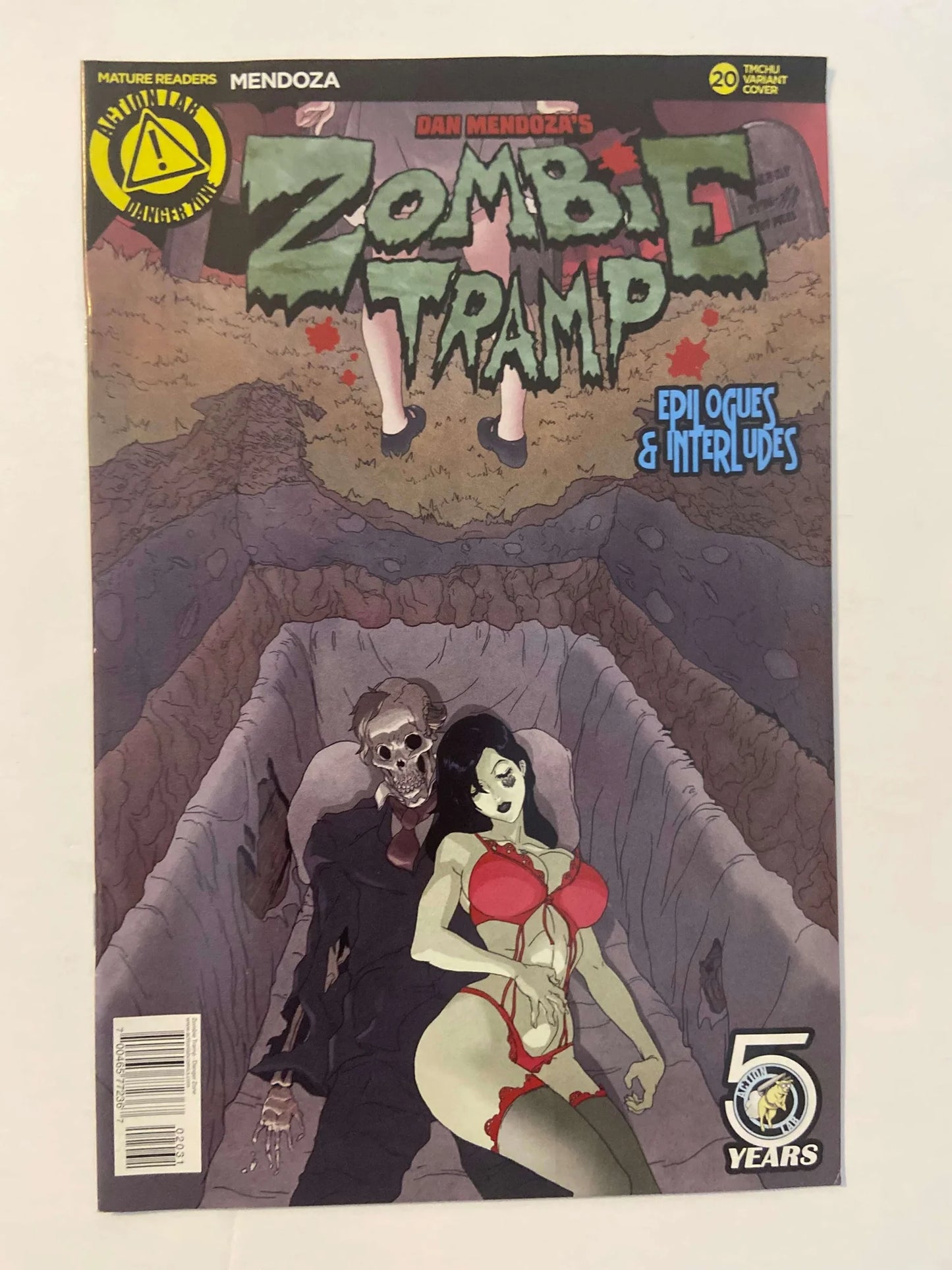 ZOMBIE TRAMP #20 VF+ TMChu Variant