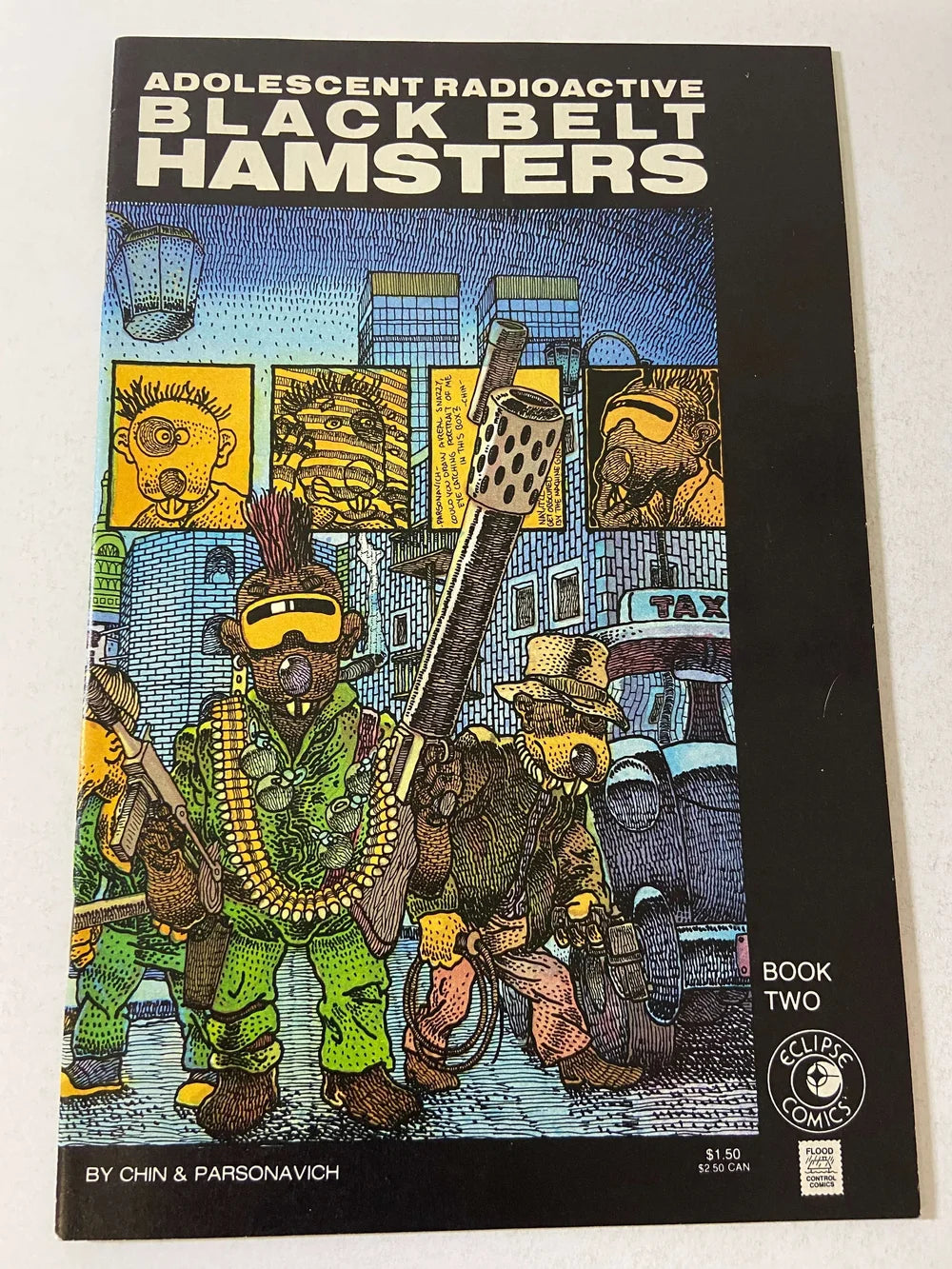 ADOLESCENT RADIOACTIVE BLACK BELT HAMSTERS #2 NM-