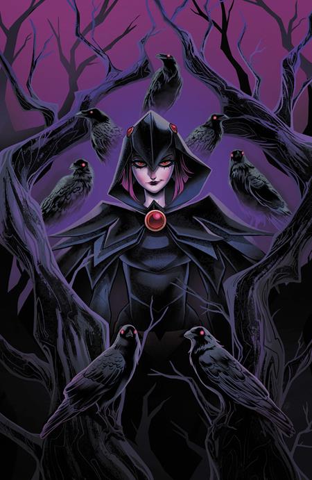 PRE-SALE: DCS QUOTH THE RAVEN WHATEVER #1 (ONE SHOT) CVR A SWEENEY BOO