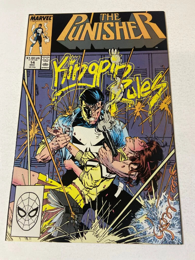 PUNISHER #14 Vol 2