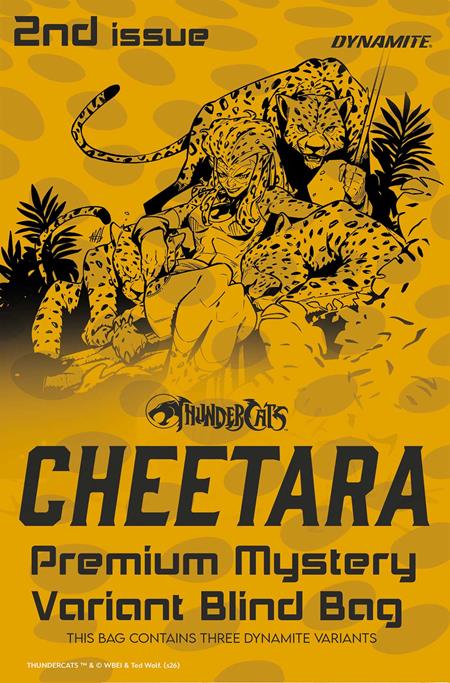PRE-SALE: THUNDERCATS CHEETARA #2 CVR H PREMIUM MYSTERY BLIND BAG VAR
