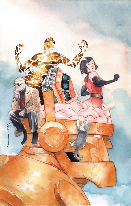 PRE-SALE: DOOM PATROL #3 CVR C DUSTIN NGUYEN CARD STOCK VAR