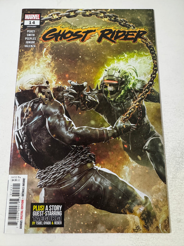 GHOST RIDER #14 Vol 7 NM Bjorn Barends Cover