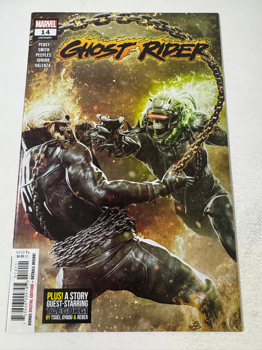 GHOST RIDER #14 Vol 7 NM Bjorn Barends Cover
