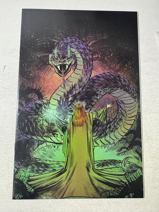 DISNEY VILLAINS : MALEFICENT #5 NM 1:25 Virgin Soo Lee Variant