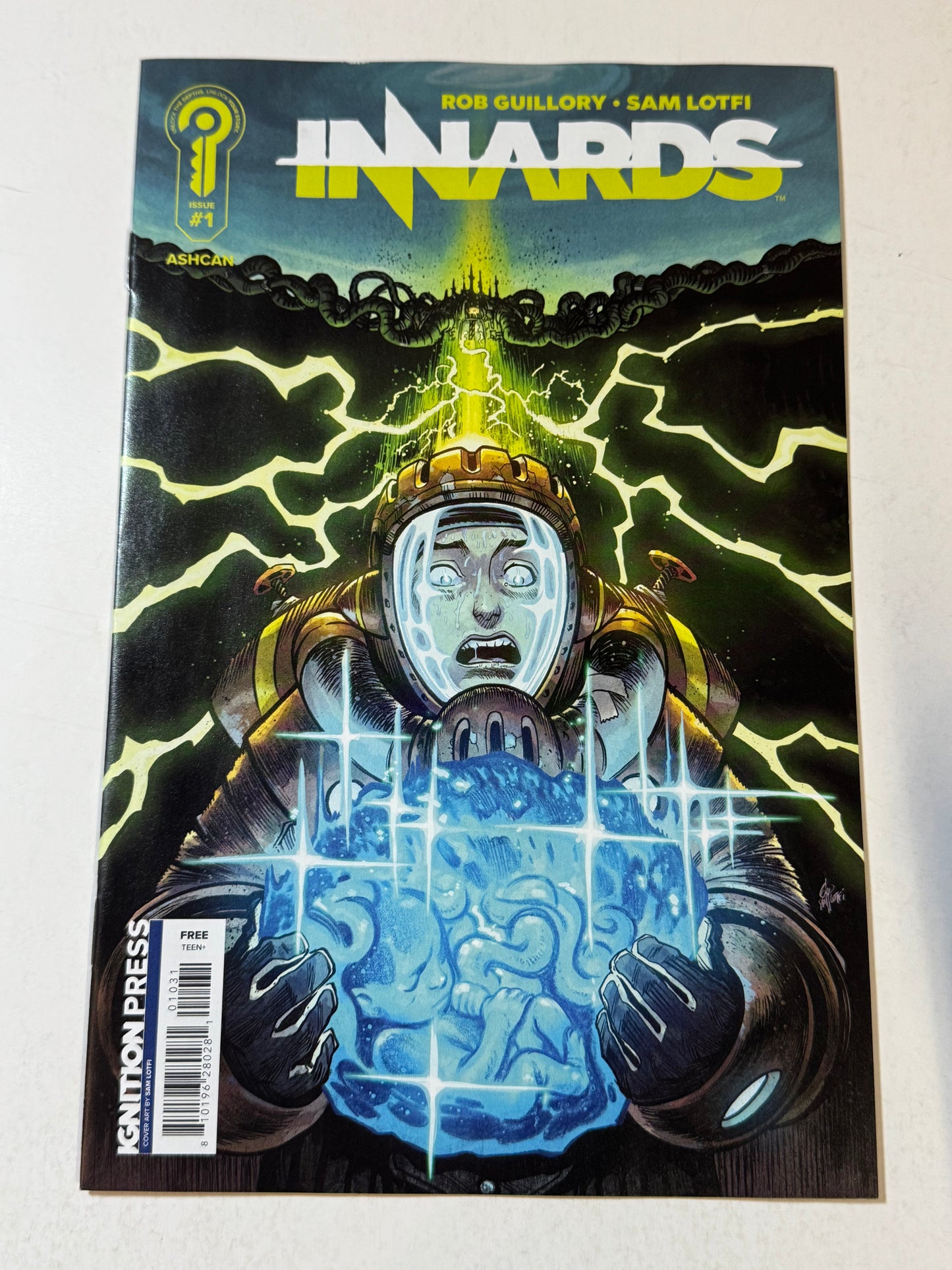 INARDS #1 ASHCAN