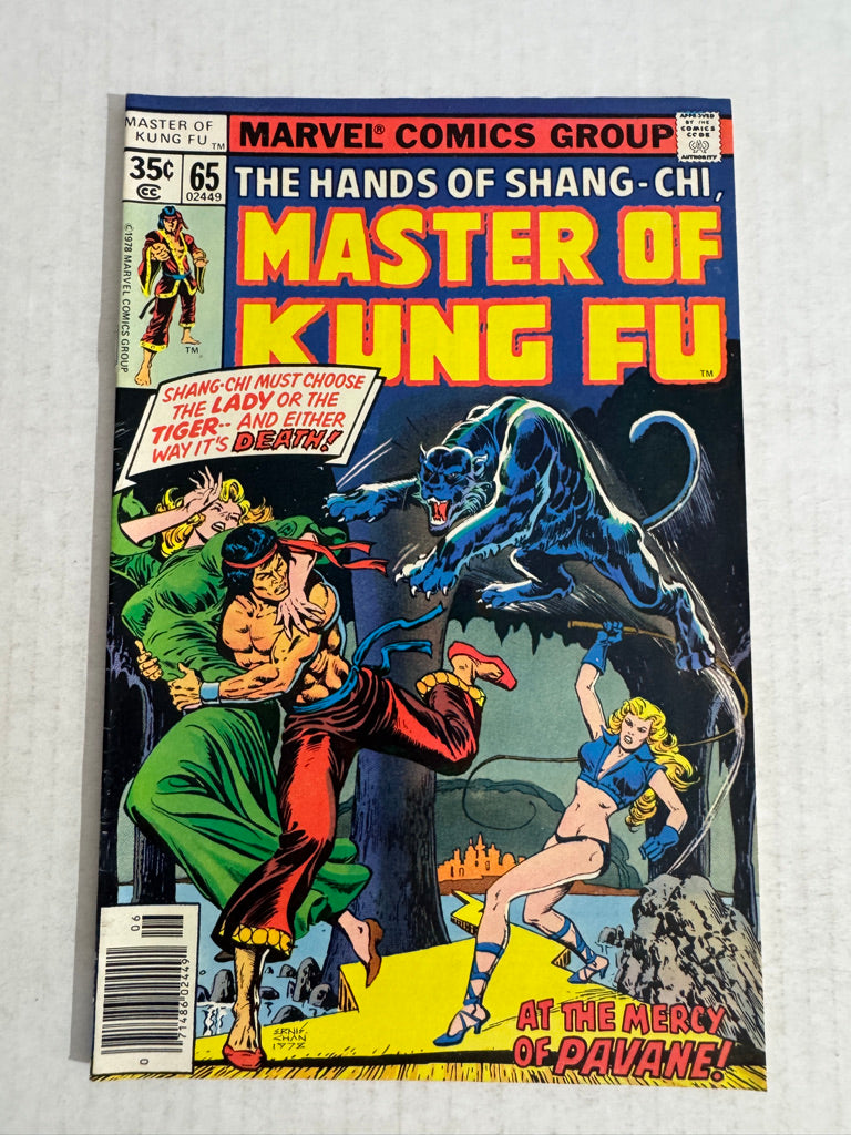 MASTER OF KUNG FU #65
