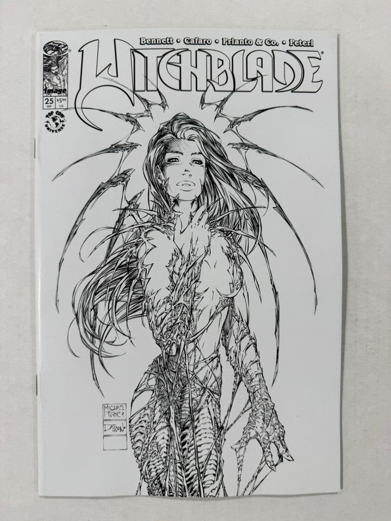 WITCHBLADE #25 NM Cover B Michael Turner Variant