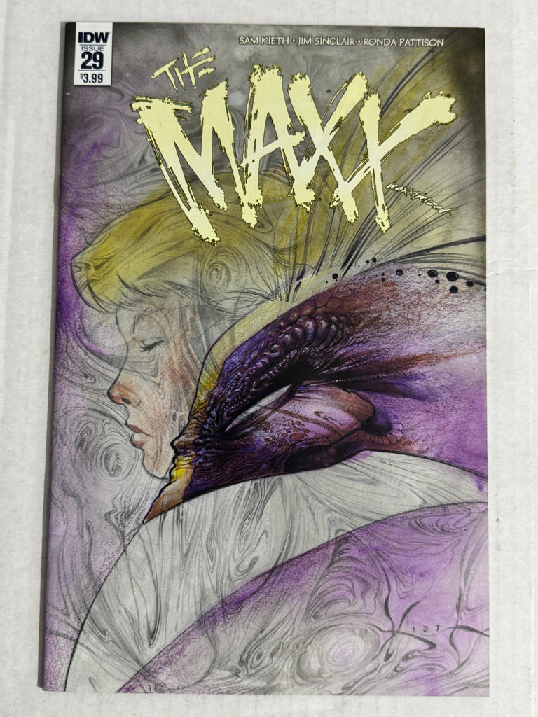 THE MAXX MAXXIMIZED #29 NM Sam Kieth Cover