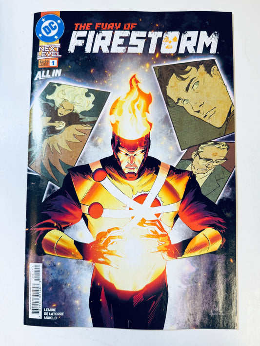 THE FURY OF FIRESTORM #1 NM