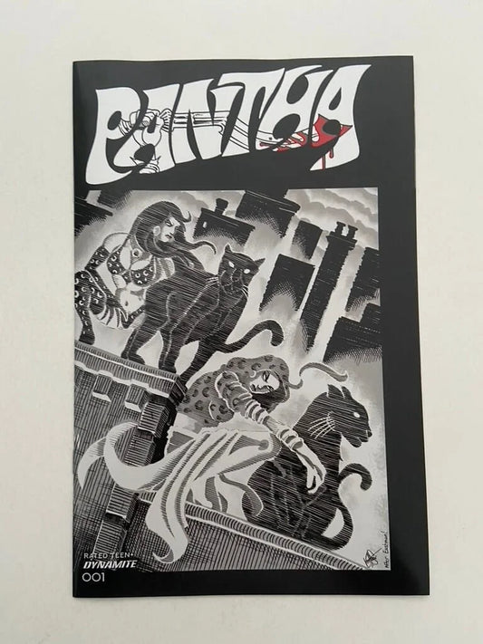 PANTHA #1 NM 1:11 B/W TMNT Homage Variant