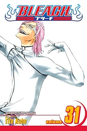 Bleach Vol 31