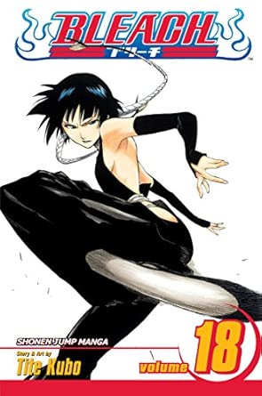 Bleach Vol 18