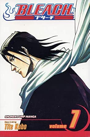 Bleach Vol 7