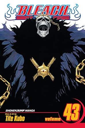 Bleach Vol 43