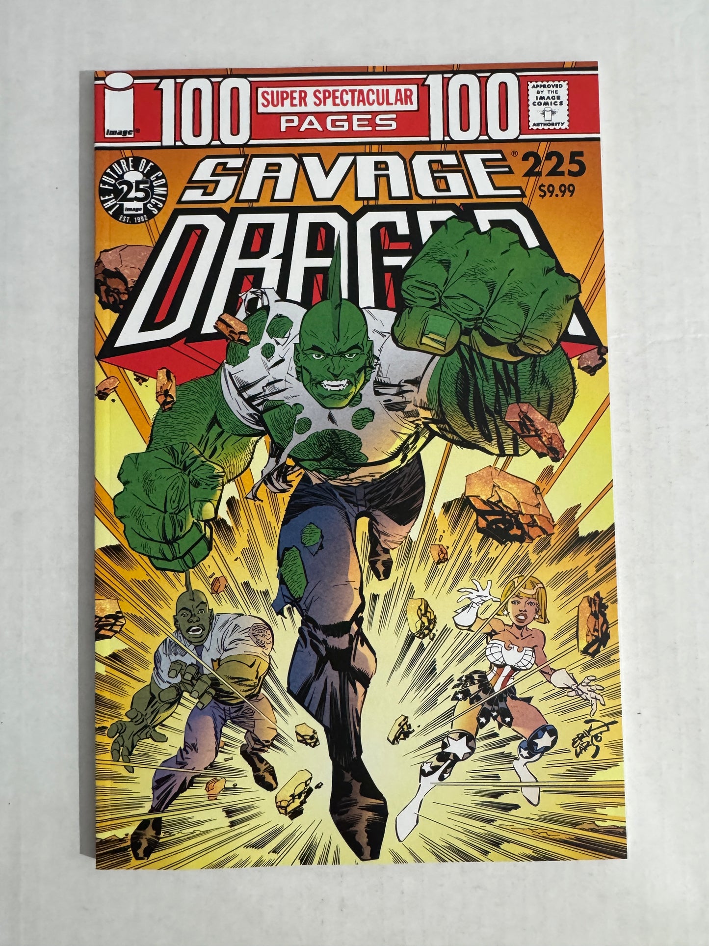 SAVAGE DRAGON #225 Vol 2 NM