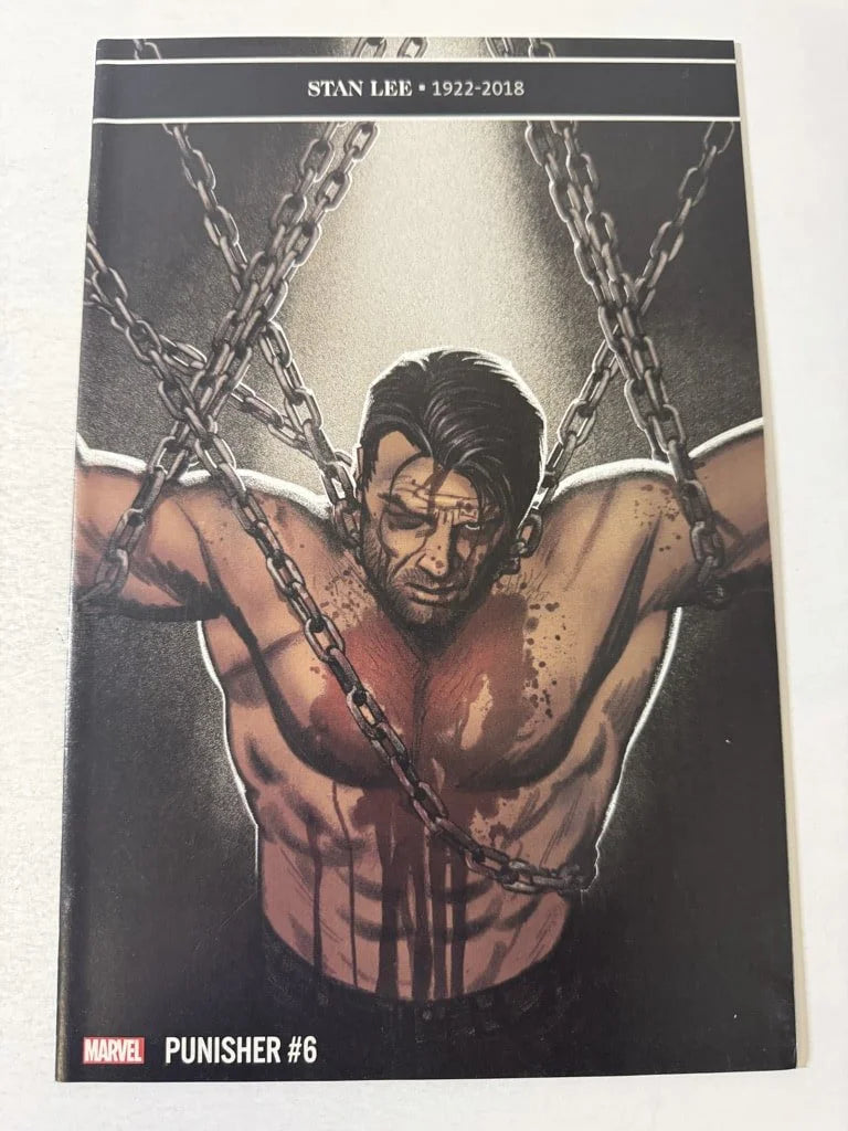PUNISHER #6 Vol 11 NM