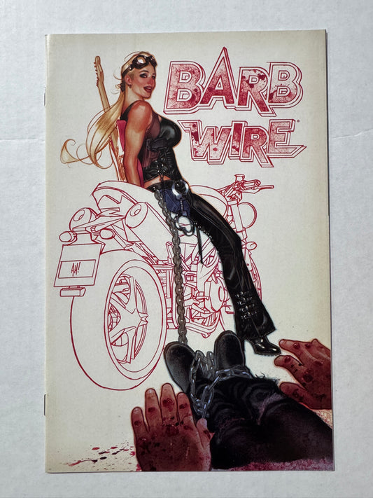 BARB WIRE #2 NM Adam Hughes Cover