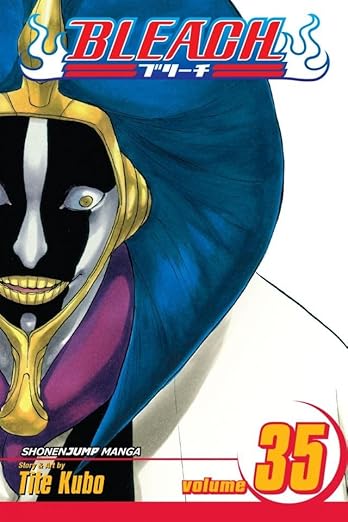 Bleach Vol 35