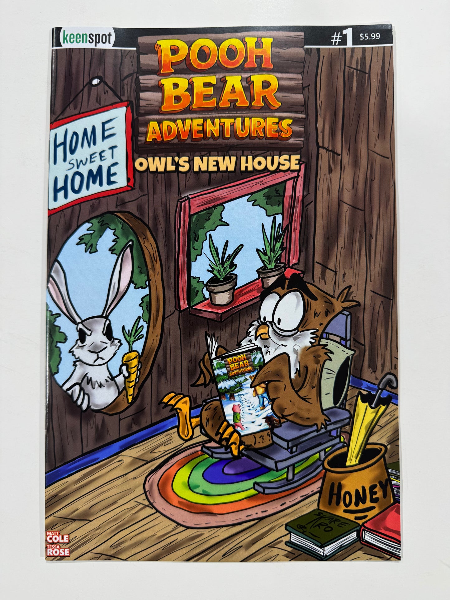 POOH BEAR ADVENTURES: OWL'S NEW HOUSE #1 NM Cover C Jeremy O'Ryan Variant