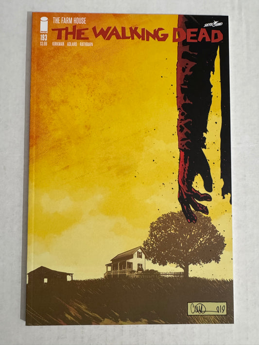 THE WALKING DEAD #193 NM