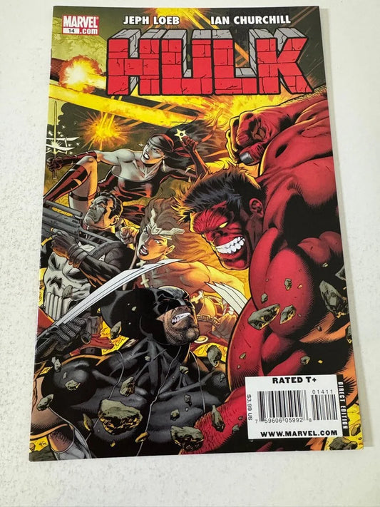 HULK #14  Ian Churchill Cover