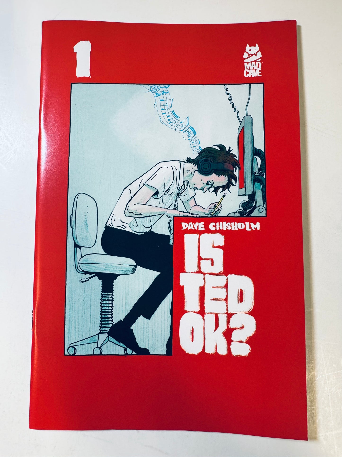 IS TED OK? #1 NM 2nd Print Dave Chisholm
