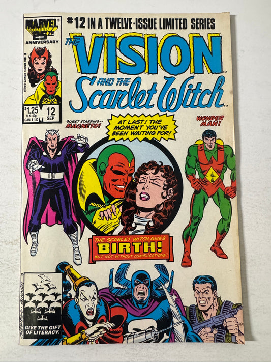 VISION AND THE SCARLET WITCH #12 Vol 2 FN/VF 1ST APPEARANCE