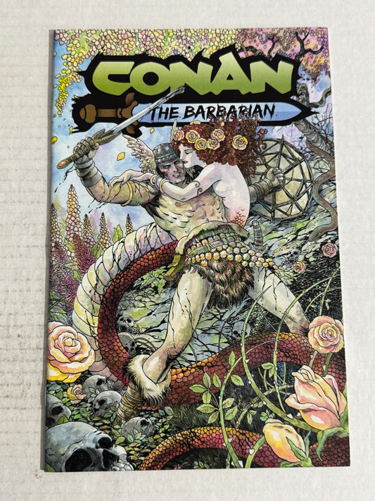 CONAN THE BARBARIAN #1 NM Coleen Doran SDCC Variant LTD 500