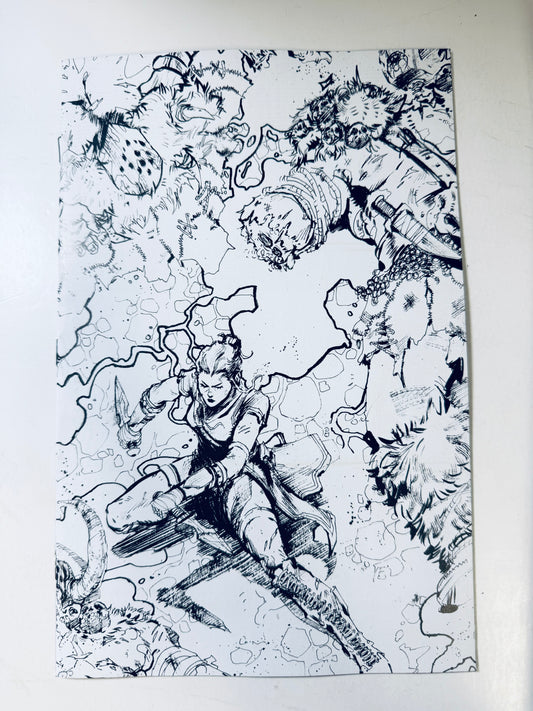 DIABLO: DAWN OF HATRED #2 NM Cover E 1:5 Kelsey Ramsay Black & White Variant