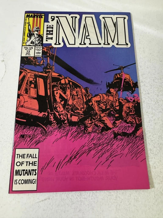THE 'NAM #13