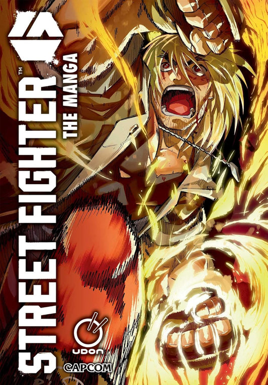 Street Fighter The Manga Vol 1