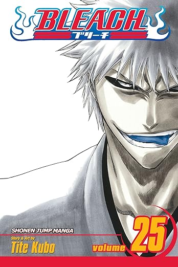 Bleach Vol 25